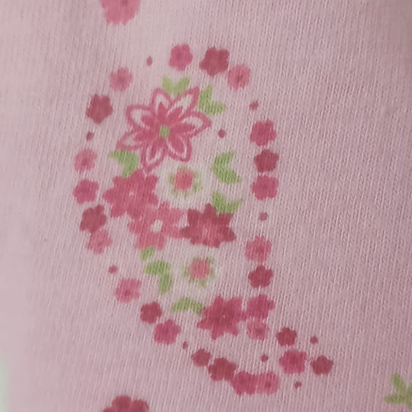 Healthtex Paisley Dress - Picture 7 of 8